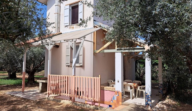 Detached holiday house amid an olive grove, calm and idyllic located | Ilia, Pel