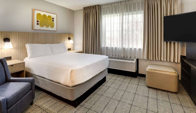 Embrace the Dynamic Spirit of the City! Free Parking, Full Kitchen, Outdoor Pool