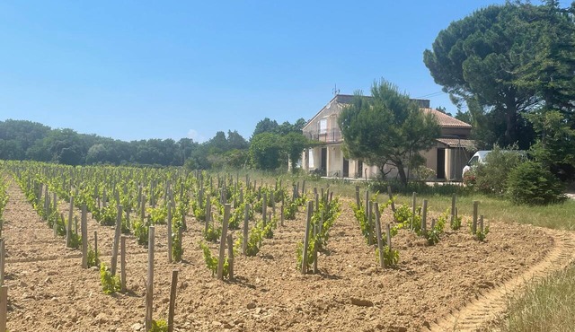 Entre Deux Vignes - An idyllic setting for families and groups
