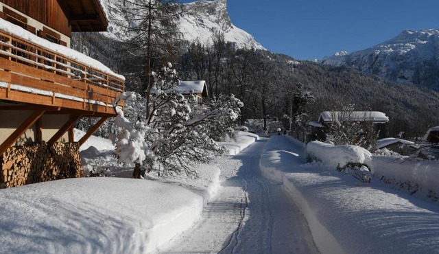 Face Mont-Blanc