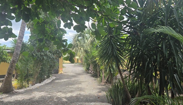 Finca verde