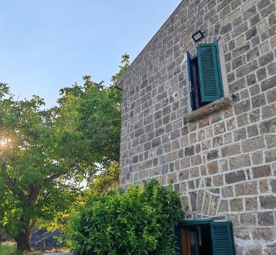 Gli Ulivi del Nonno - Casale immerso nel verde a pochi chilometri dalla Reggia -