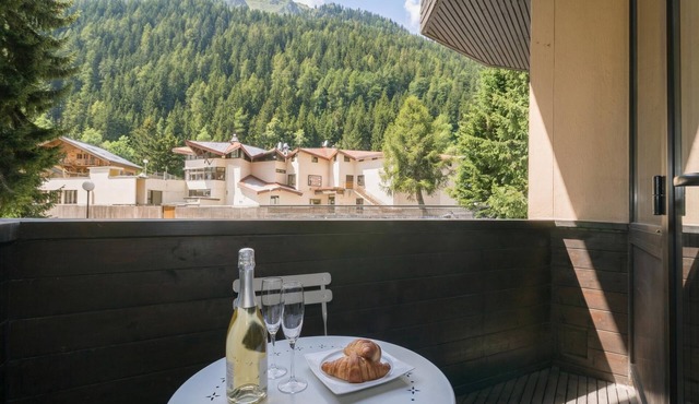 Grand Roc B22 260m from Slopes, View, Parking & WiFi, Argentière (Chamonix), France