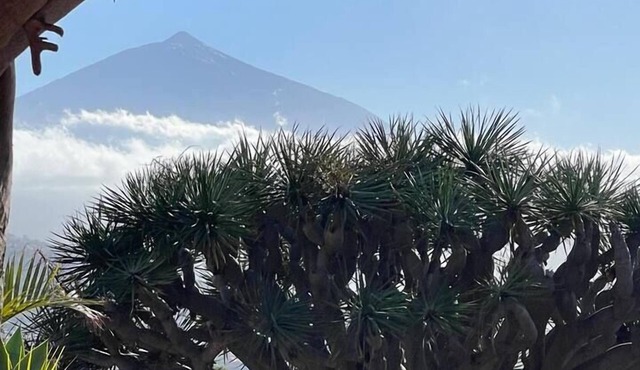 Great views & heated pool (El Perenquen, 5)