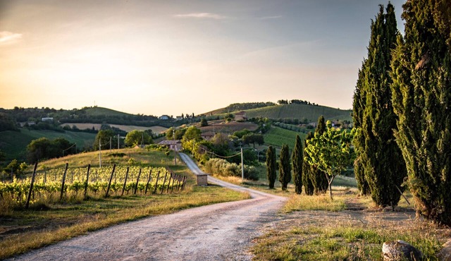 Guided E-bike Tours (1h sea or mountain) with Restaurant available at stay
