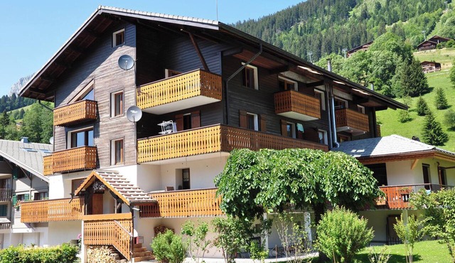 Homerez - Apt La Chapelle mtn view.