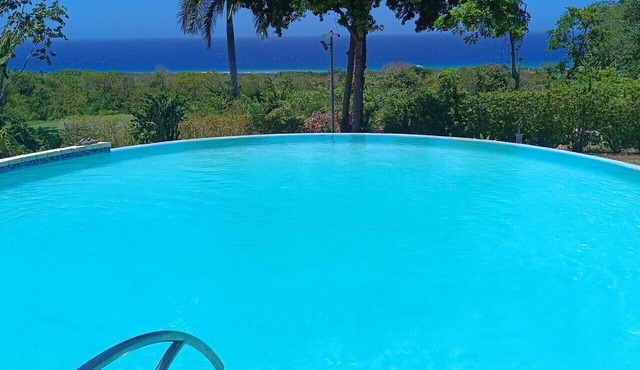Hospitality Expert HALF HILL: Pool, Beach & Chef