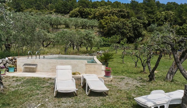 House in the olive groves