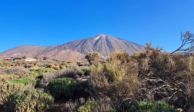 House Las Cañadas del Teide. Magical place. Unparalleled beauty, Teide as a lookout.