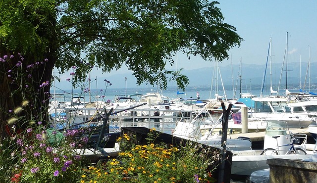 La Perle du Léman 1st floor (Nernier/Yvoire)