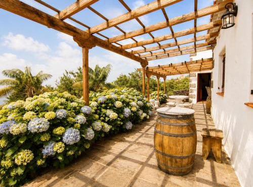 La Tanquera y Las Rosas
