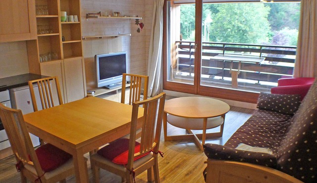 Large studio in Samoëns, pets allowed, parking, near cable car