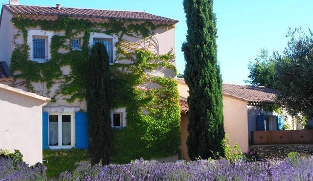 Le clos des lavandes