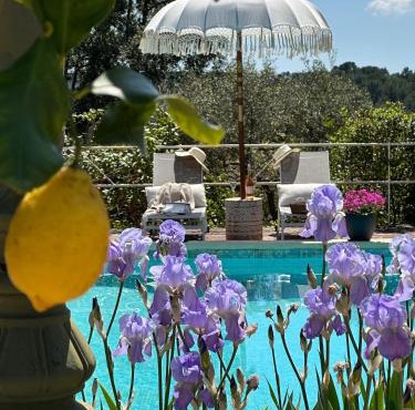 Les Pervenches - B&B Cottages en Lorgues