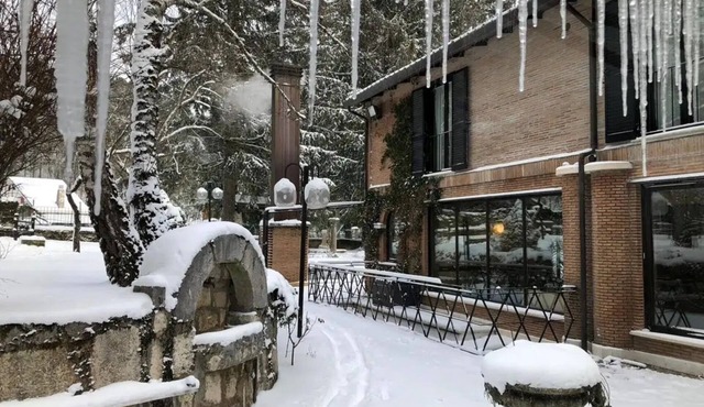 LH Hotel il Picchio