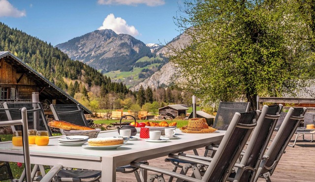 Loft de la Panthiaz - Les Portes du Soleil on your doorstep - OVO Network