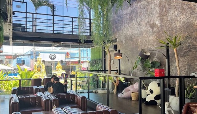 Lulu Hotel at The Glasshouse Lion Café