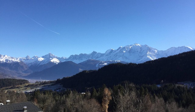 Magnificent and charming apartment, unique view of the Mont Blanc range