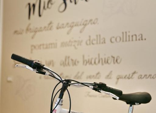 Mio Sud