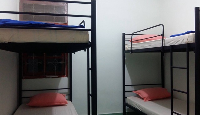 Morotai Camp - 4 Bed Mixed Dorm W.Fan