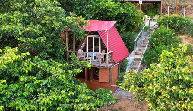 Mountain Top Cabin with Unique View 35 minutes from the city!