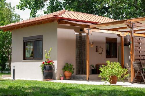 Nerium - Golden Fig Sykia lodge