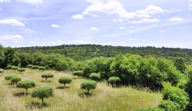 Nice holiday home with private terrace, Arpaillargues-et-Aureillac