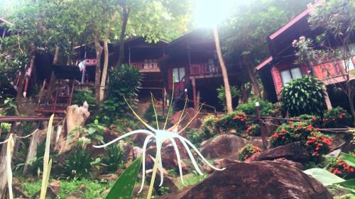 Phi Phi Green Hill Resort