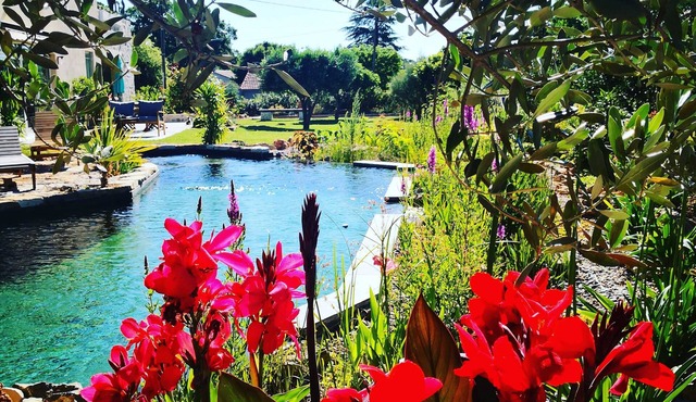 Provence chic, relaxation, Spa, natural pool in a green setting for 2