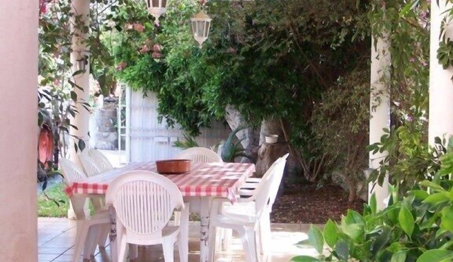 Quiet cottage on a banana plantation. Puerto Santiago. Tenerife