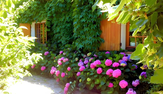 Room 'Chambre' with Private Terrace, Wi-Fi and Air Conditioning