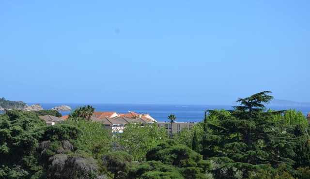 SEA VIEW-STUDIO 2 PERSONS- Classified 3 *- TERRASSE ABRITEE -CLIM-PARKING PRIVE