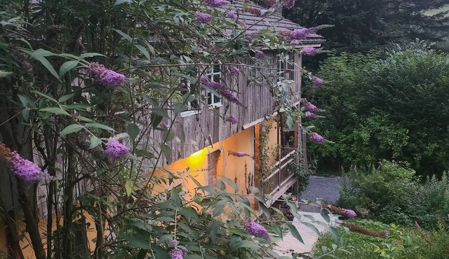 Secluded chalet in the heart of nature, forest, mountains, river, jacuzzi, sauna.