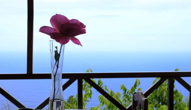 Self catering Finca El Biclén for 2 people