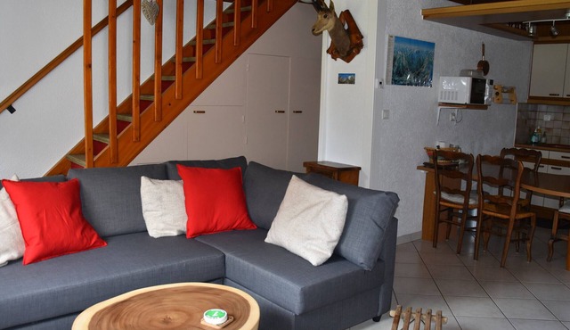 Semi-detached chalet with garden, 3 rooms, 6 people