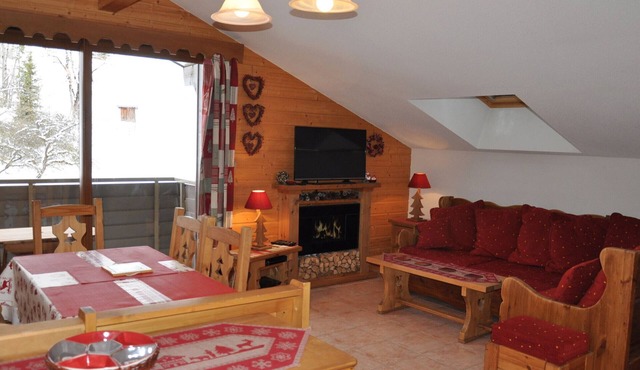 Spacious Apartment with Wifi and Pets Allowed