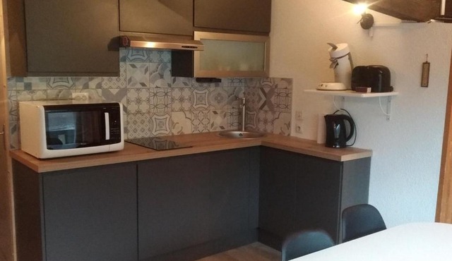 Studio cosy proche des pistes, parking inclus, animaux acceptés - FR-1-692-52