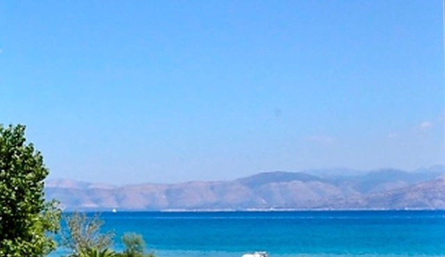 Summer Desire