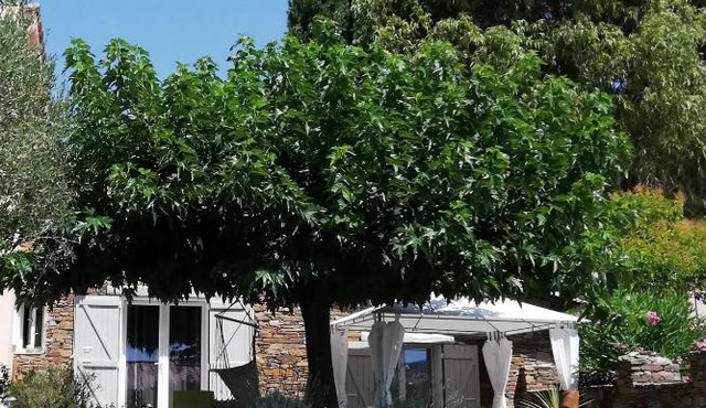 T2 de charme 55 m² au calme avec terrasse ombragée 40m2