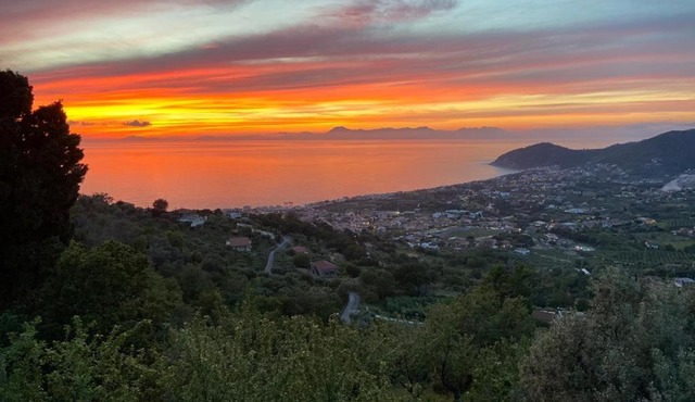 Tenuta La Panoramica