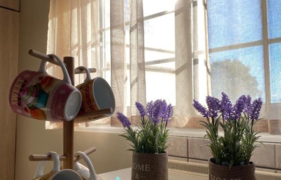 Trikala Cozy Apartments
