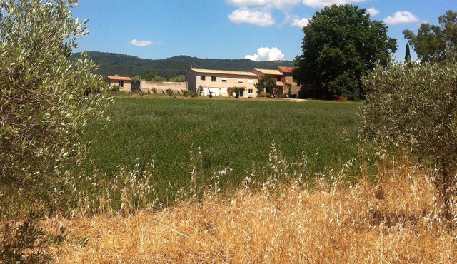 TWO BED AND BREAKFAST PLUS KITCHEN IN OIL-GROWING AREA OF 8 HECTARES FROM VAR