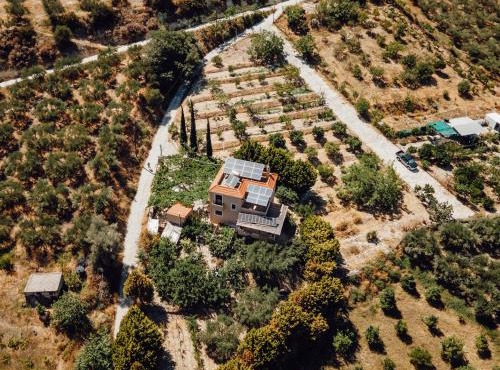 Verano Family House
