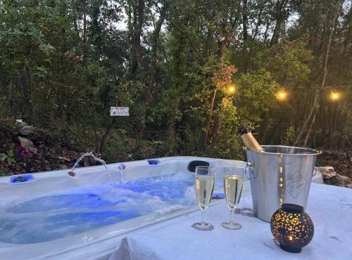 Villa climatisée, Piscine, Spa, jardin 4500 m2 dans la foret