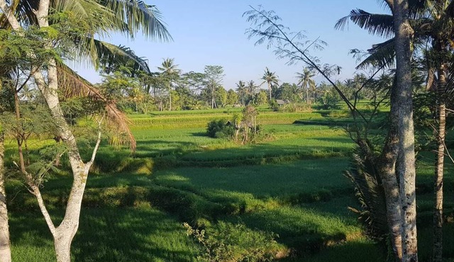 VILLA FRANGIPANI 6 ROOMS 12+ PEOPLE UBUD