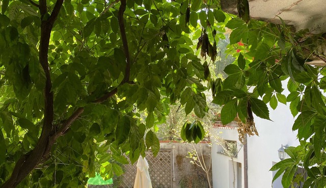 Villa Immersed in the greenery of the Cilento national park in Palinuro