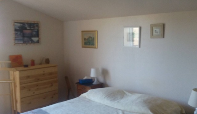 Villa under the pines, for 8 or 12 people (adjoining annex in summer)