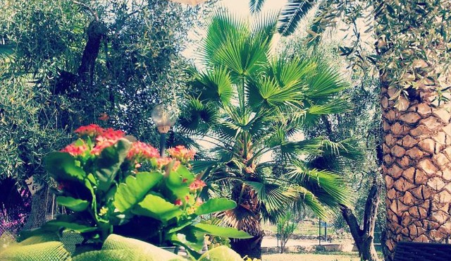 Villa Vale Mery