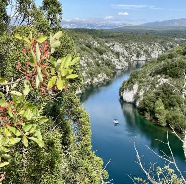 ZEcamping 3 étoiles pet friendly et piscine avec accès direct à un lac