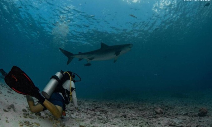 Fuvahmulah Hotel | Fuvahmulah Central Hotel - Deluxe Double Room with Balcony #3